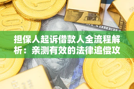 武汉担保人起诉借款人全流程解析：亲测有效的法律追偿攻略