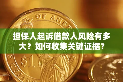 武汉担保人起诉借款人风险有多大？如何收集关键证据？