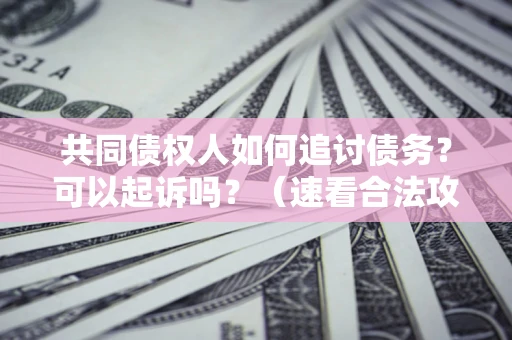 武汉共同债权人如何追讨债务？可以起诉吗？（速看合法攻略）
