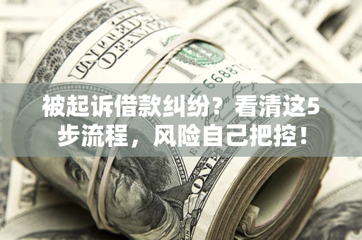 武汉被起诉借款纠纷？看清这5步流程，风险自己把控！
