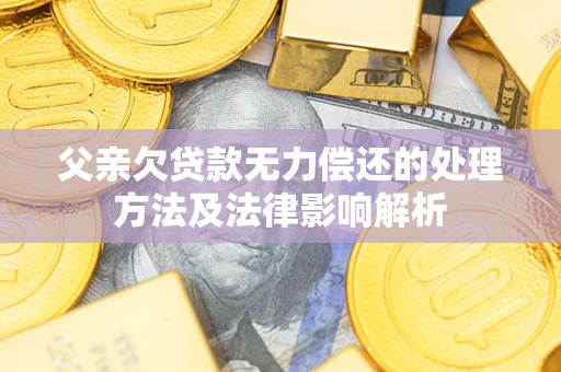 武汉父亲欠贷款无力偿还的处理方法及法律影响解析